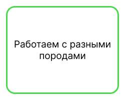 Универсальные 2.jpg Универсальные 2.jpg